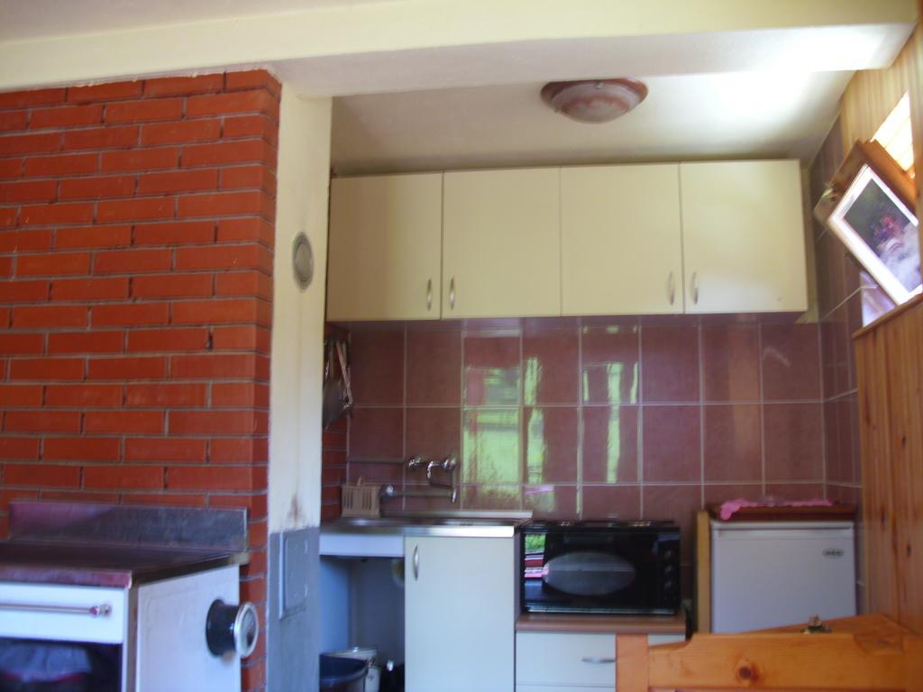זבליאק Apartment Vujisic חדר תמונה
